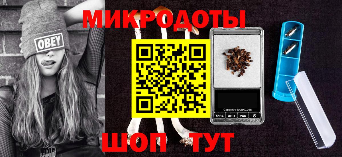 Псилоцибиновые грибы Cubensis Вичуга