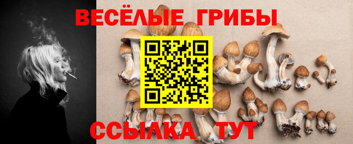 Псилоцибиновые грибы прущие грибы  Вход с VPN  Вичуга 